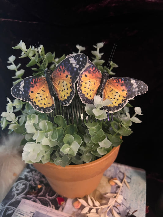 The “Garden Fairy” Hair Pin - Chinese Tropical Butterfly