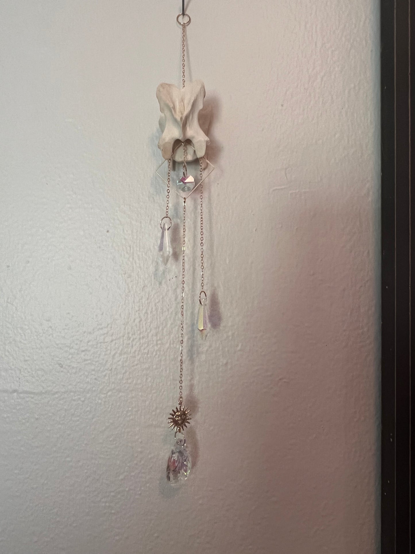 Deer vertebrae sun catcher