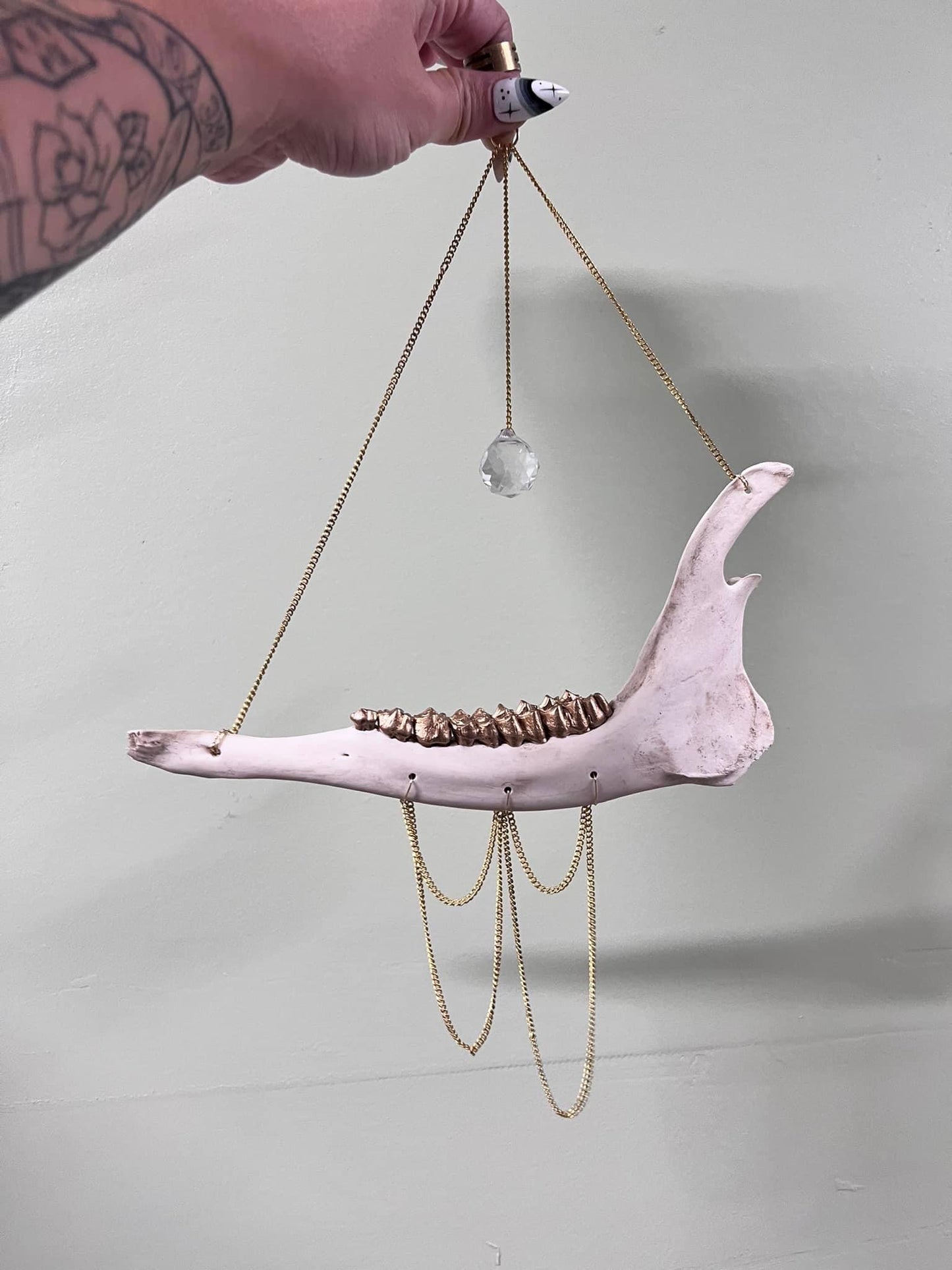 Deer Jawbone Sun Catcher