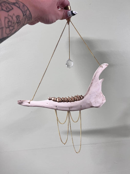 Deer Jawbone Sun Catcher