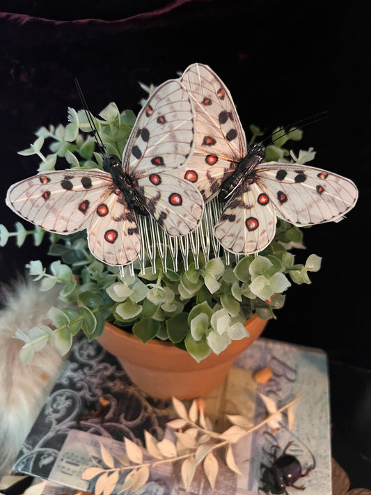 The “Garden Fairy” Hair Pin - Apollo Butterfly