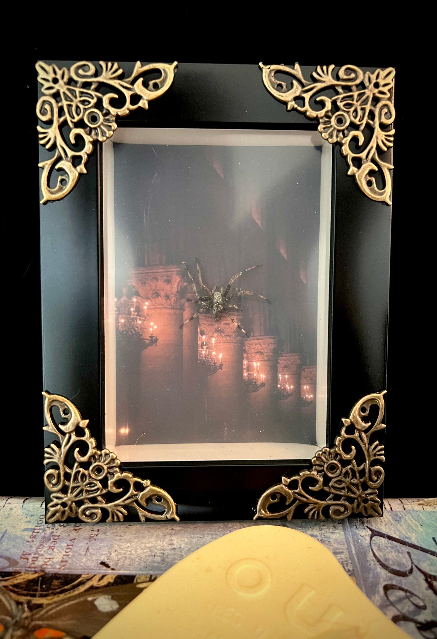 Hailee’s Customer Shadow Box Commission