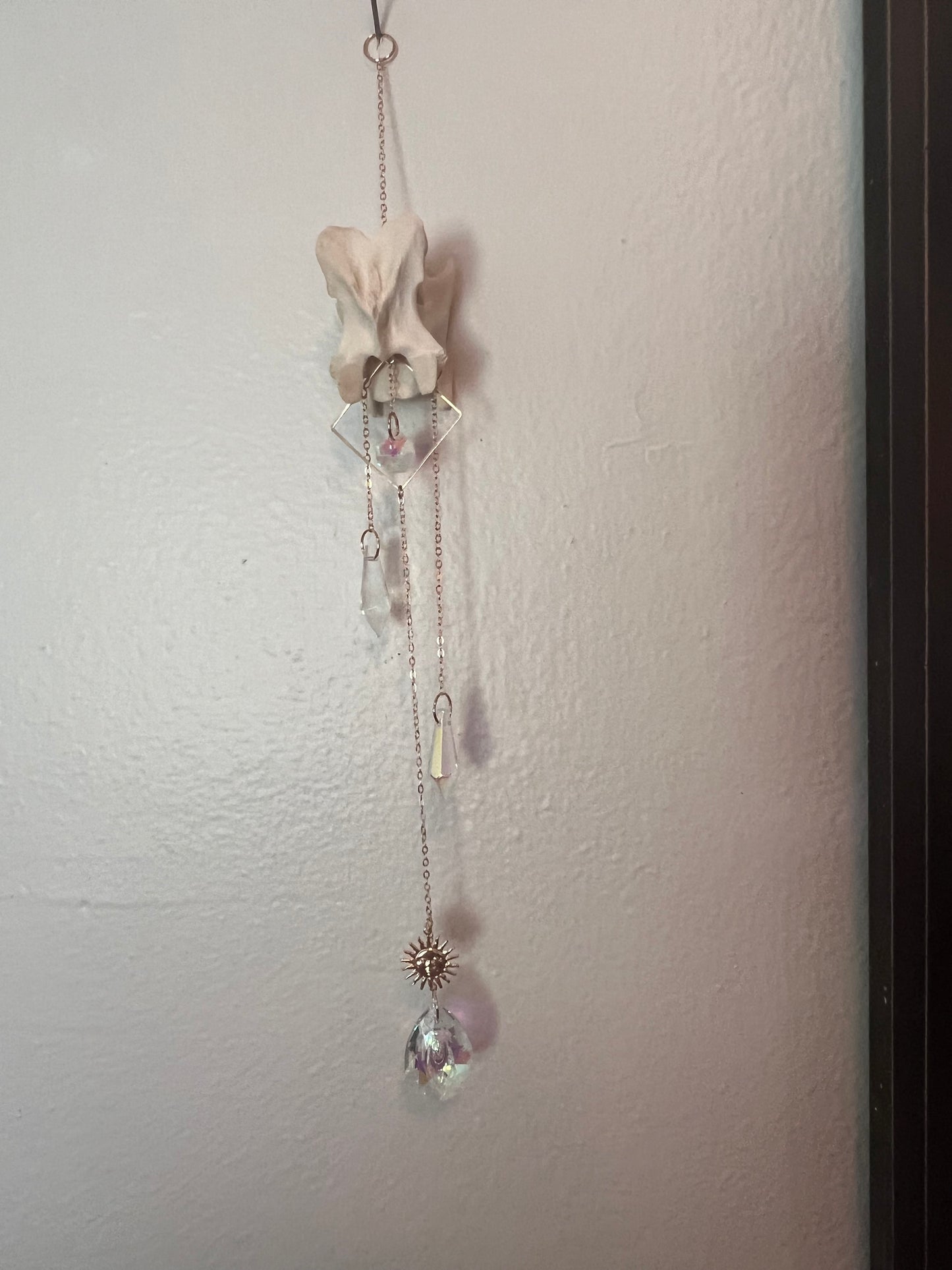 Deer vertebrae sun catcher