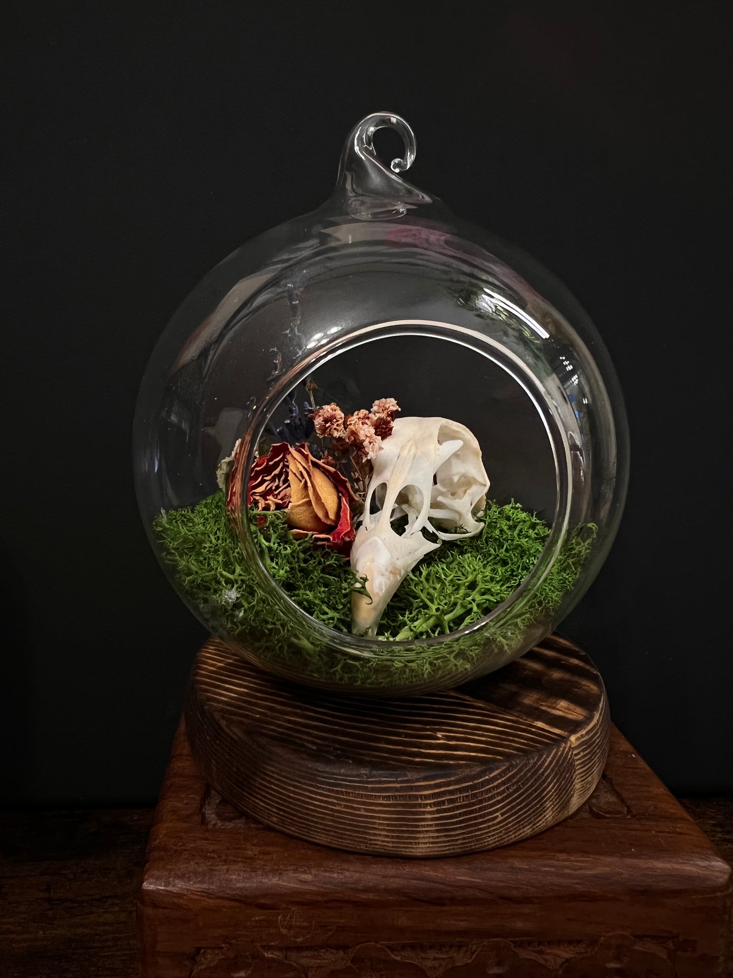 Chicken Skull Tombstone Terrarium