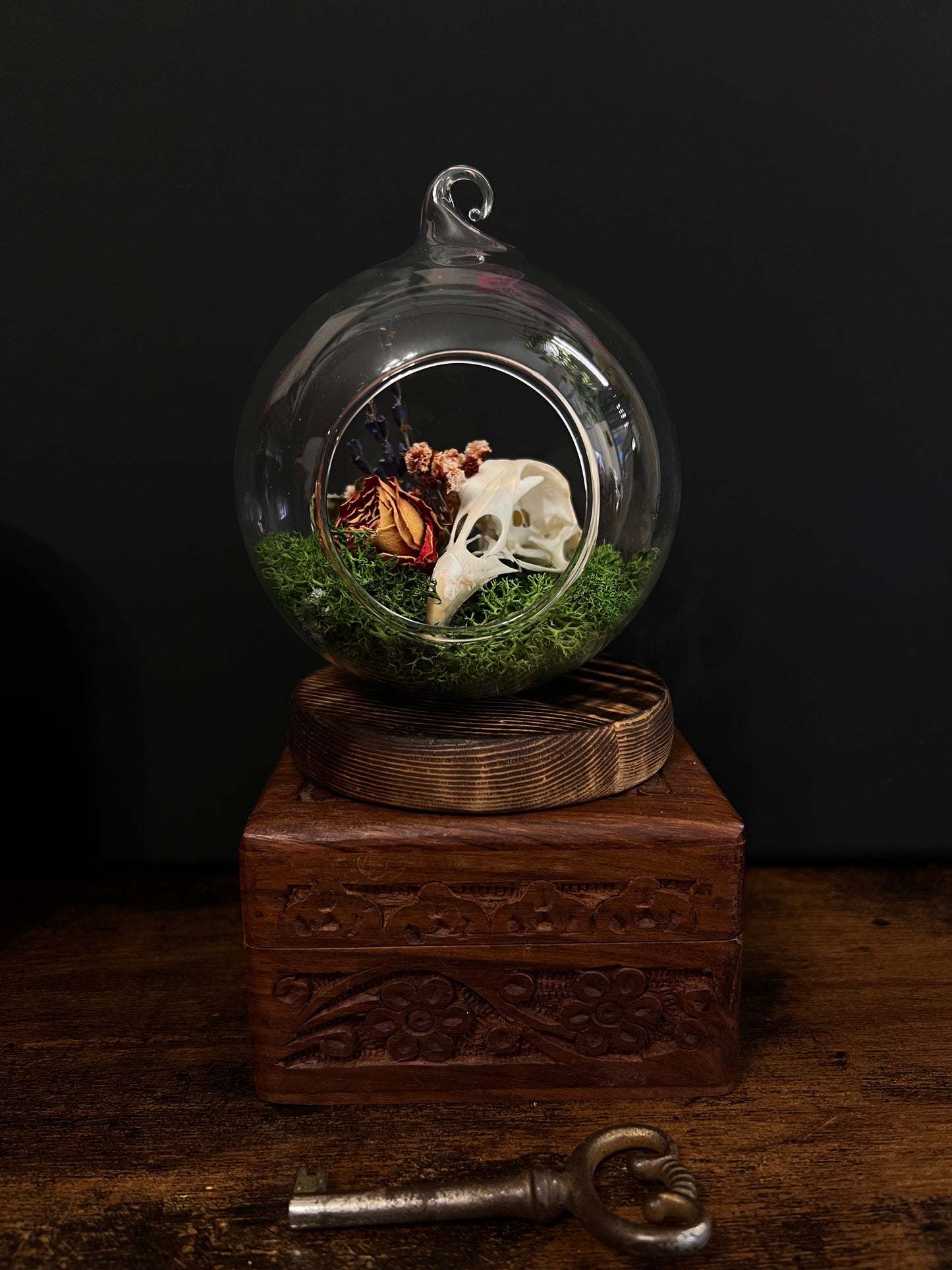 Chicken Skull Tombstone Terrarium