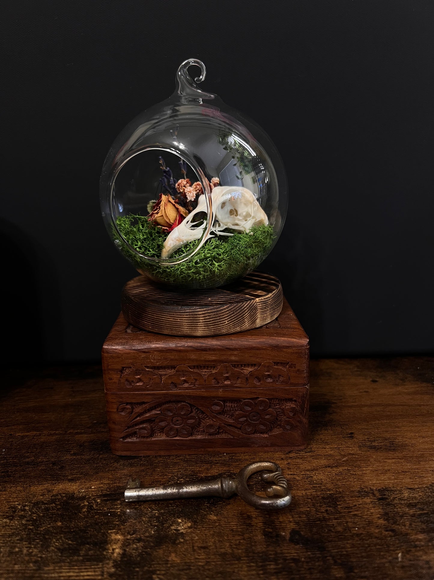 Chicken Skull Tombstone Terrarium